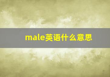 male英语什么意思