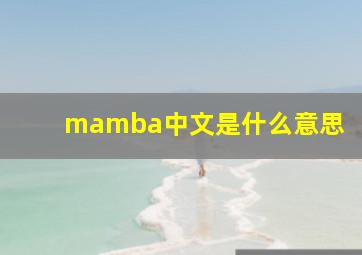 mamba中文是什么意思