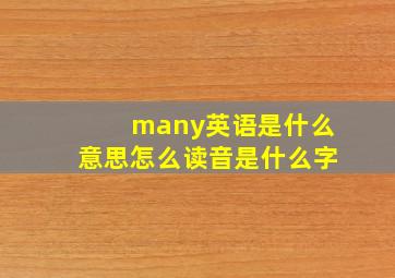 many英语是什么意思怎么读音是什么字