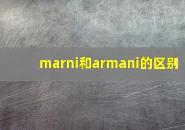 marni和armani的区别