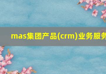 mas集团产品(crm)业务服务