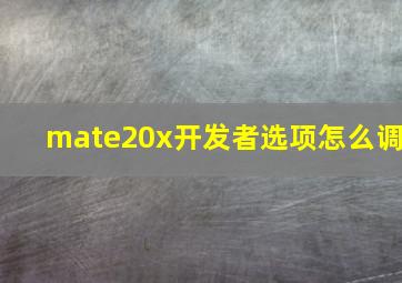 mate20x开发者选项怎么调