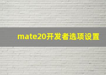 mate20开发者选项设置