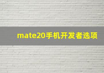 mate20手机开发者选项