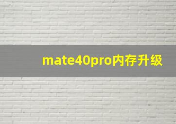 mate40pro内存升级