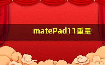 matePad11重量