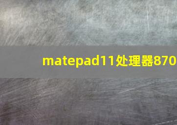 matepad11处理器870