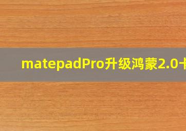 matepadPro升级鸿蒙2.0卡吗