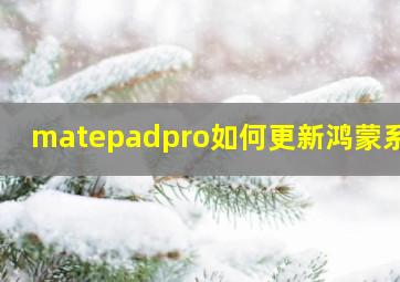 matepadpro如何更新鸿蒙系统