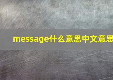 message什么意思中文意思