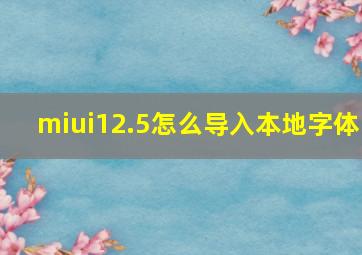 miui12.5怎么导入本地字体