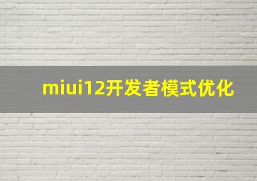 miui12开发者模式优化