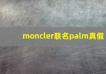 moncler联名palm真假