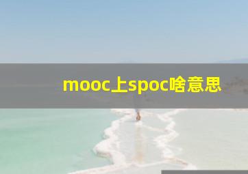 mooc上spoc啥意思