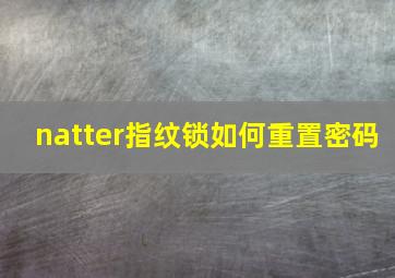 natter指纹锁如何重置密码