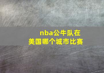 nba公牛队在美国哪个城市比赛