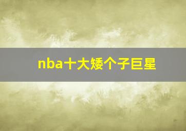 nba十大矮个子巨星