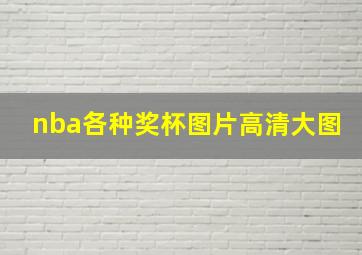 nba各种奖杯图片高清大图