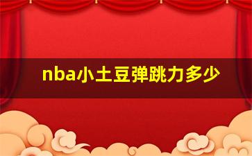 nba小土豆弹跳力多少