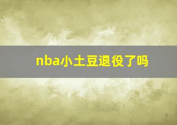 nba小土豆退役了吗