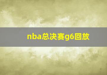 nba总决赛g6回放