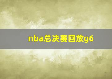 nba总决赛回放g6