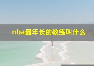 nba最年长的教练叫什么