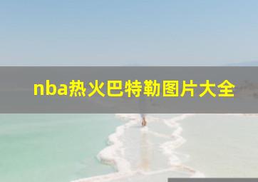 nba热火巴特勒图片大全