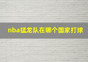 nba猛龙队在哪个国家打球