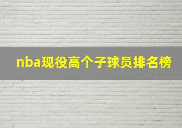 nba现役高个子球员排名榜