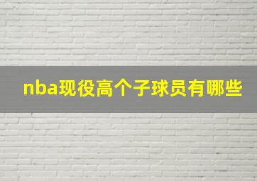 nba现役高个子球员有哪些