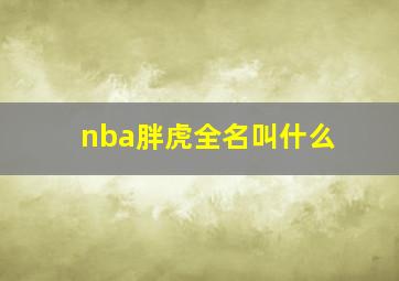 nba胖虎全名叫什么