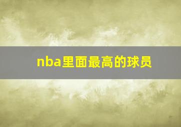 nba里面最高的球员