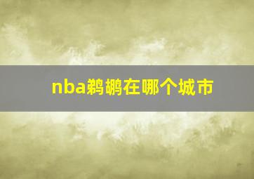 nba鹈鹕在哪个城市