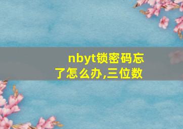 nbyt锁密码忘了怎么办,三位数