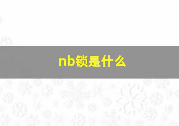 nb锁是什么