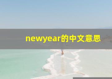 newyear的中文意思