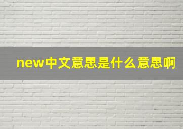 new中文意思是什么意思啊