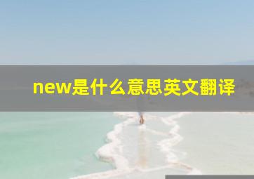 new是什么意思英文翻译