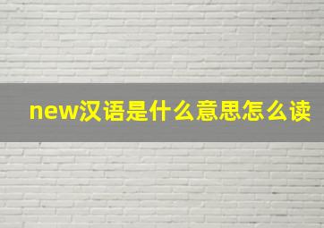 new汉语是什么意思怎么读