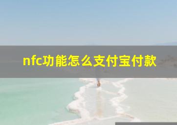 nfc功能怎么支付宝付款