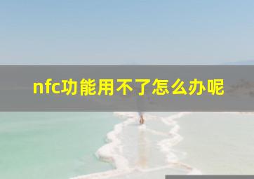 nfc功能用不了怎么办呢