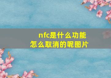 nfc是什么功能怎么取消的呢图片