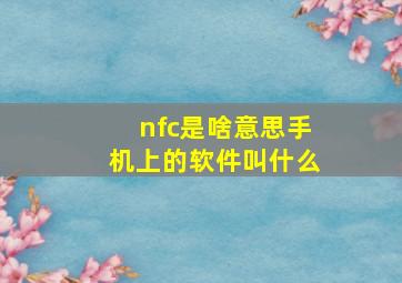 nfc是啥意思手机上的软件叫什么