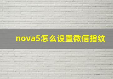 nova5怎么设置微信指纹