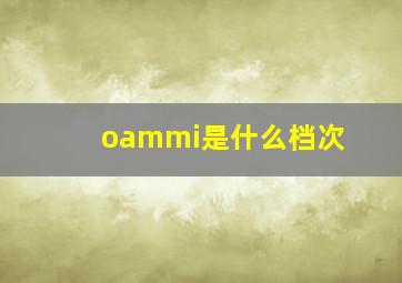 oammi是什么档次