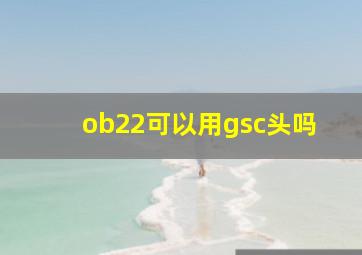 ob22可以用gsc头吗