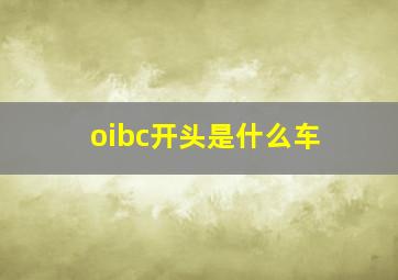 oibc开头是什么车