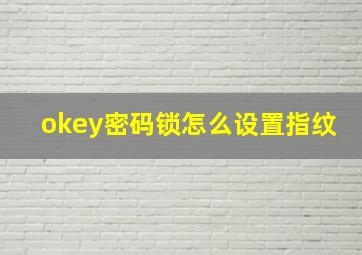 okey密码锁怎么设置指纹