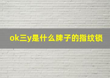 ok三y是什么牌子的指纹锁